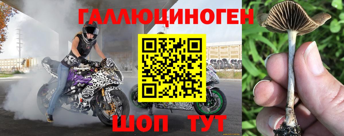 Балабаново  Галлюциногенные грибы прущие грибы  Вход с VPN 
